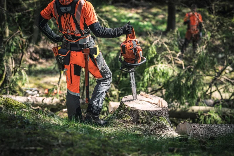 HUSQVARNA-ESPACES-VERTS-TRONCONNEUSE-GX-273485_TIF.jpg