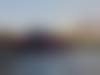 DOWNS-FIELDLOADER-CAROTTE-MARAICHAGE-A14184D6-D5FE-42D7-A6C1-BC77CB6E1FE6_1_105_c.jpg