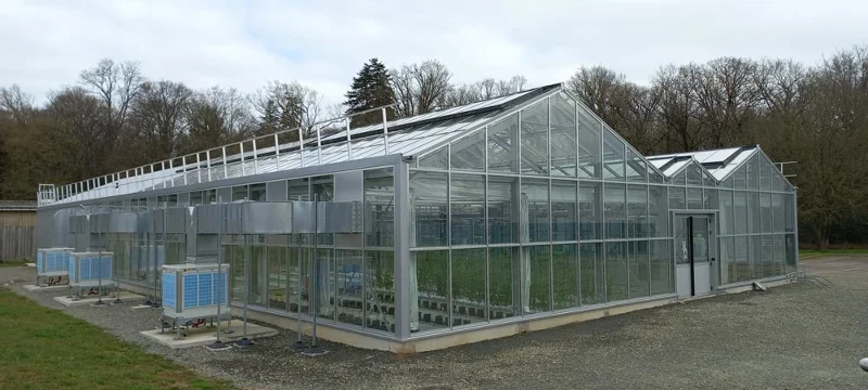 CMF-SERRE-20250312_113105.jpg