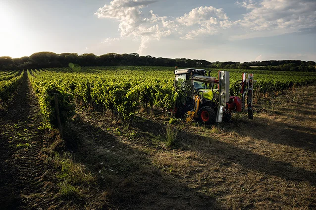 CLAAS-VIGNE.jpg