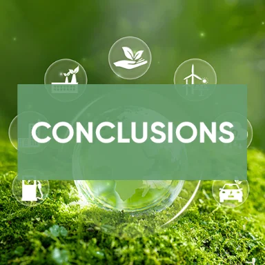 CONCLUSIONS ET PERSPECTIVES